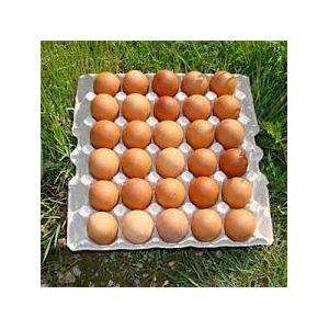 Oeuf frais fermier par 30