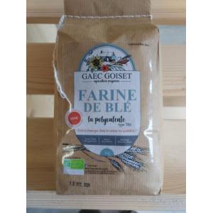 Farine de blé t65 'la polyvalente'