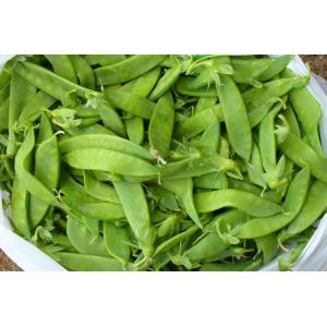 Pois mangetout