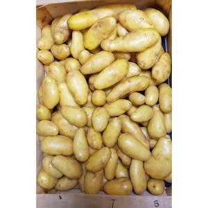 Pomme de terre délikatess