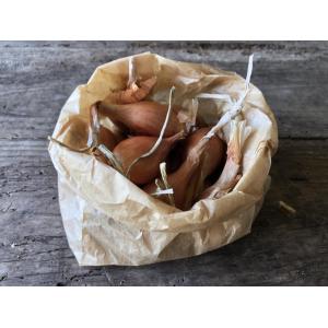 Sachet 400g échalotes
