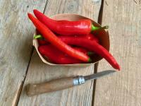 Piments