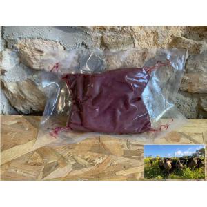 Rognon de porc - porc plein air