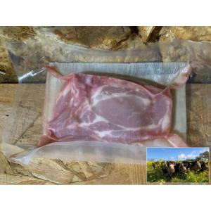 Côte échine - porc plein air