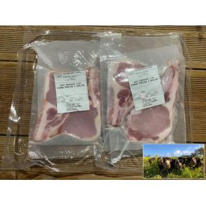 Côte première - porc plein air