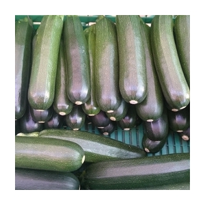 Courgette verte par 500gr