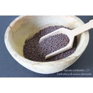 Graines de moutarde noire
