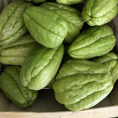 Christophine ou chayote