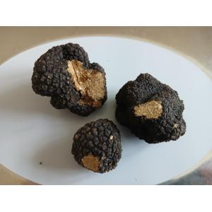 Truffe de bussy
