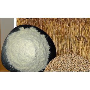 Farine de grand épeautre 5kg