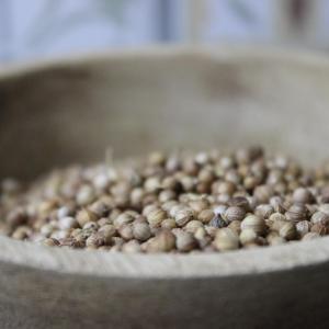 Graines de coriandre entiere