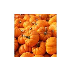 Courge jack be little