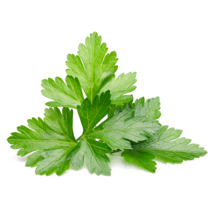 Persil sec pot à épices dont 1  de consigne