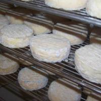 Bon gros de chèvre mi-sec