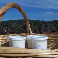 Yaourts de chèvre par 4