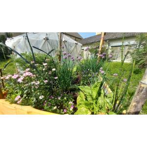 Bon pour visite et initiation à l’aquaponie