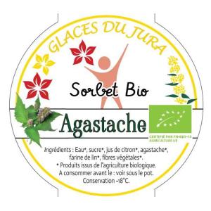 Sorbet agastache anisée