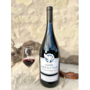 Magnum vin rouge saint nicolas de bourgueil