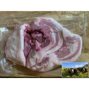 Gorge de porc - porc plein air