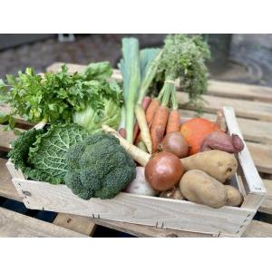 Panier de légumes bio variés