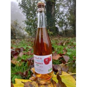 6 bouteilles de pétillants de pommes