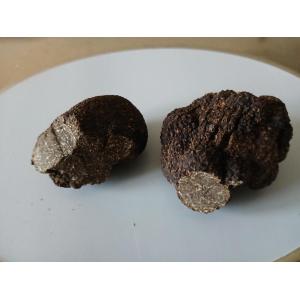 Truffe du périgord