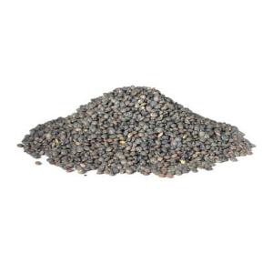 Lentilles vertes- sachet de 280g