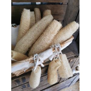 Luffa ou éponge naturelle