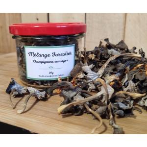 Melange forestier - champignons sauvages