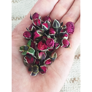 Boutons de roses