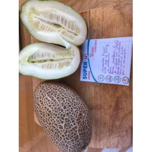 Concombre vert bridé(graines à semer)