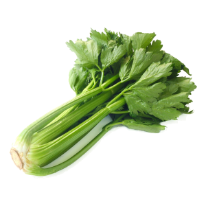 Céleri sec