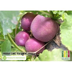 Navet primeur botte