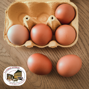 🥚 œufs fermiers extra-frais – plein air