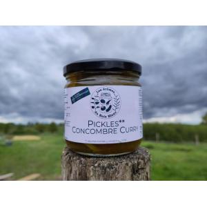 Pickles concombre curry