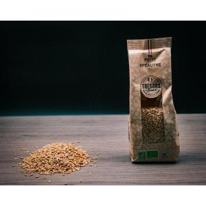 Petit epeautre bio