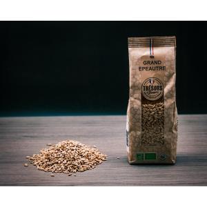 Grand epeautre bio