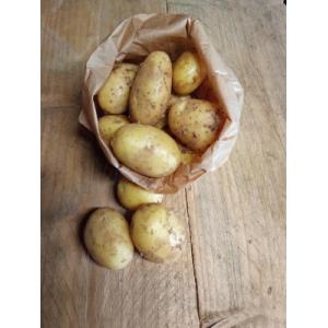 Pomme de terre primeur 'maïwen' et 'ruby'