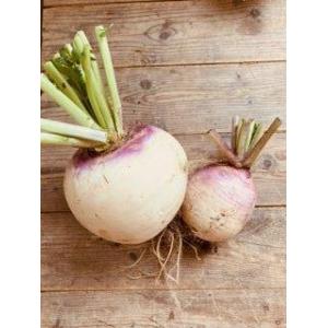 🥬 navets violets bio – 1kg