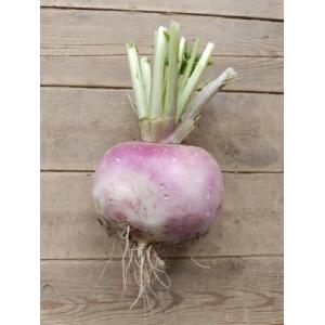 🥬 navets violets bio – 500g