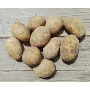 🥔 pommes de terre bio chair ferme – 500g