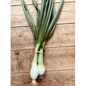 🥬 ciboule bio en botte