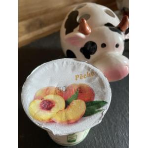 Yaourt pêche