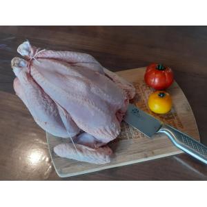 🍗 poulet taille moyenne prêt à cuire🍴