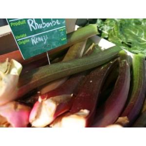 Rhubarbe