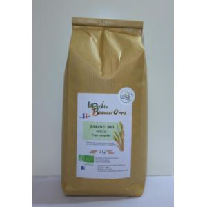 Farine de seigle t130 complète