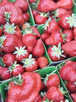 Fraises dream