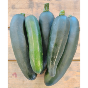 🥒 premières courgettes !