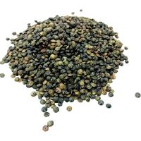 Lentilles vertes
