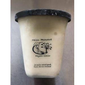 Sorbet fermier pomme bio